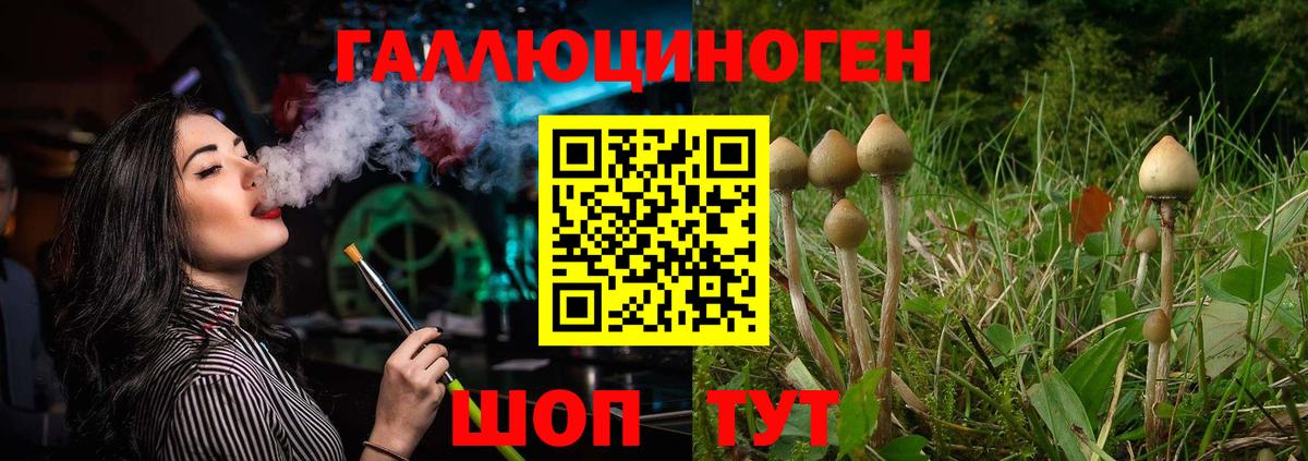 Галлюциногенные грибы GOLDEN TEACHER Сланцы
